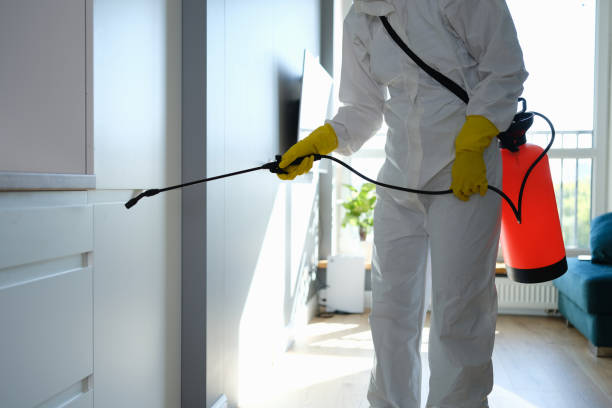 Best Mold Removal for HVAC Installations  in Big Lake, WA