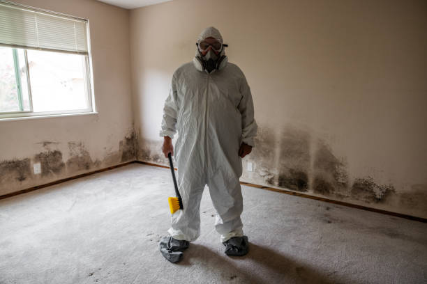 Best Commercial Mold Inspection  in Big Lake, WA