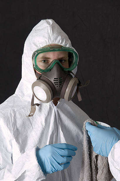 Best Mold Odor Removal Services  in Big Lake, WA